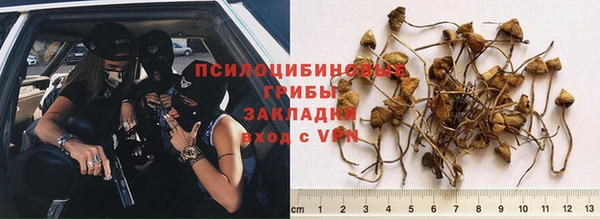 прущая мука Пролетарск