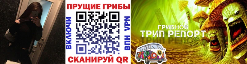 Галлюциногенные грибы прущие грибы  Нижние Серги 